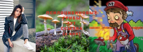 молекула духа Алексин
