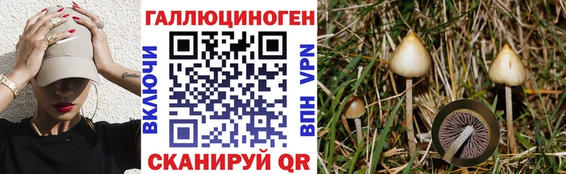 Галлюциногенные грибы GOLDEN TEACHER  Мантурово 